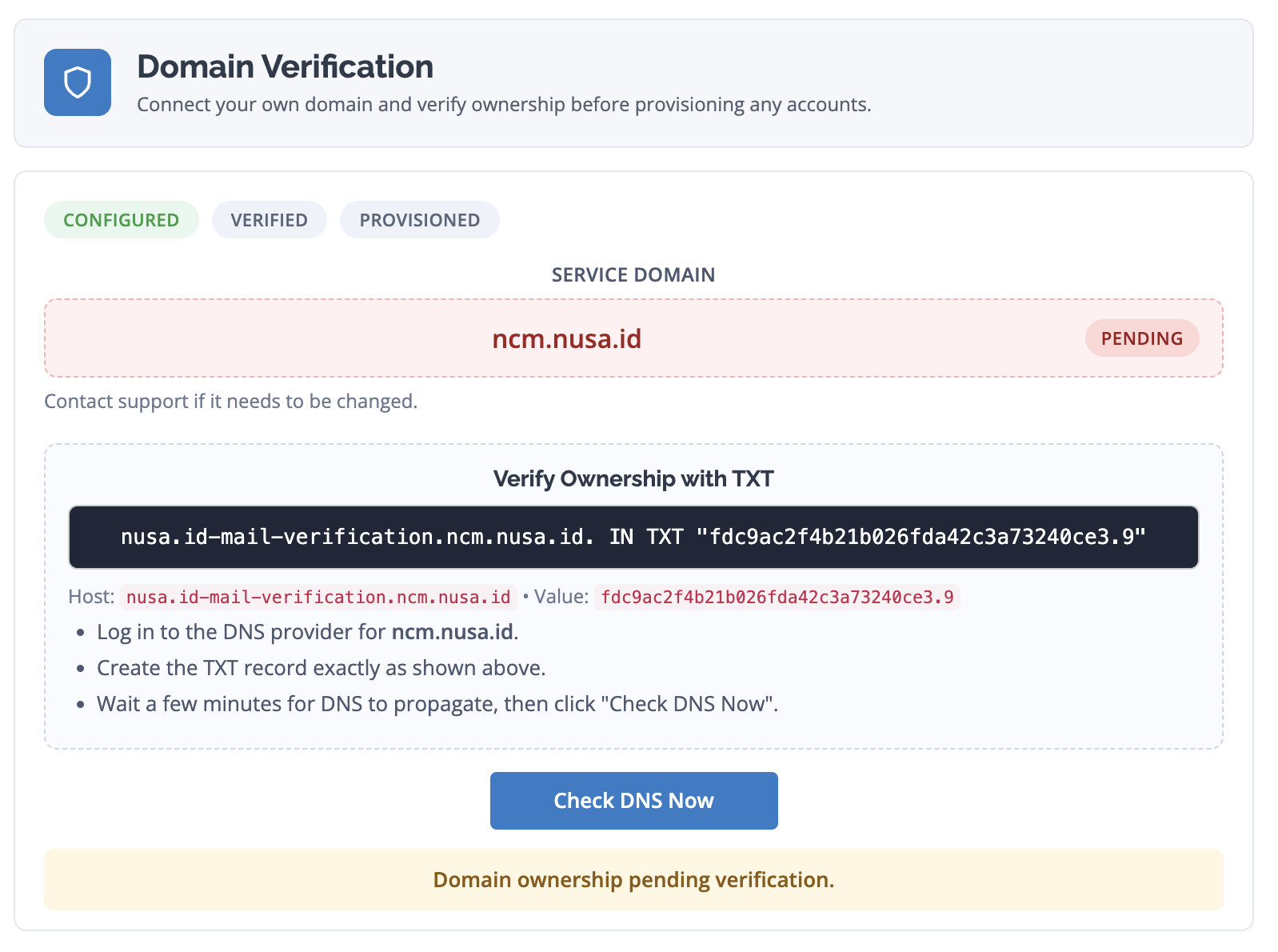 Domain verification